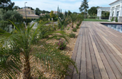 Algarve Garden Before & After